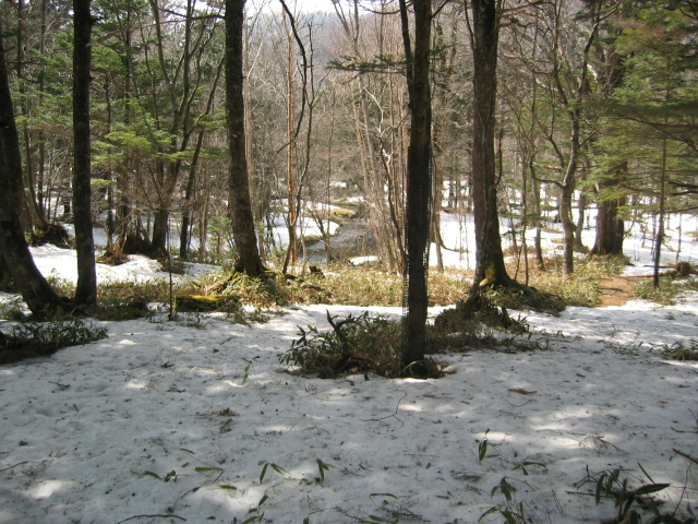 IMG_1272.JPG