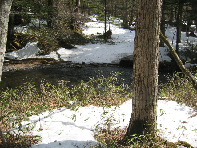 IMG_1275.JPG
