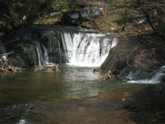 IMG_1281.JPG