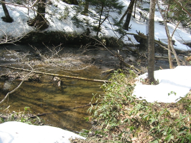 IMG_1290.JPG
