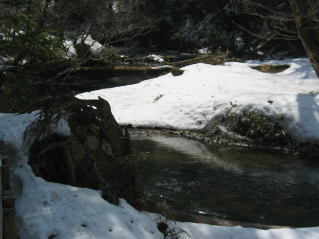 IMG_1293.JPG