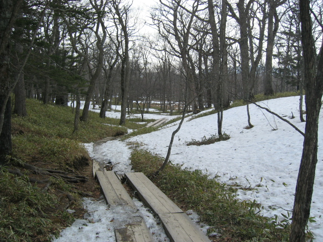 IMG_1304.JPG