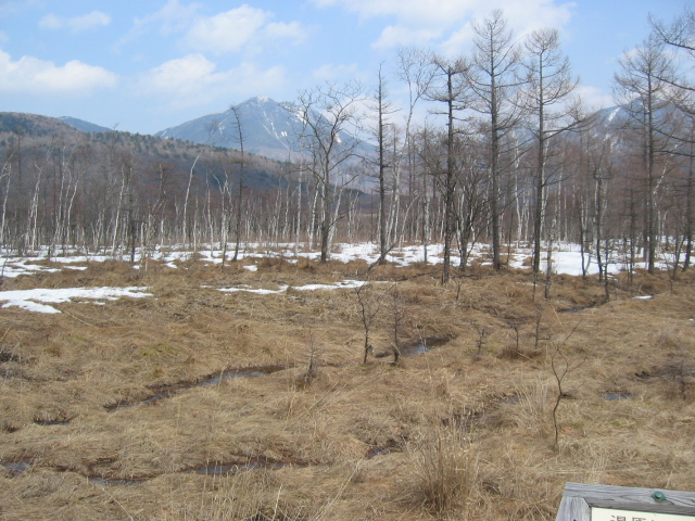 IMG_1311.JPG