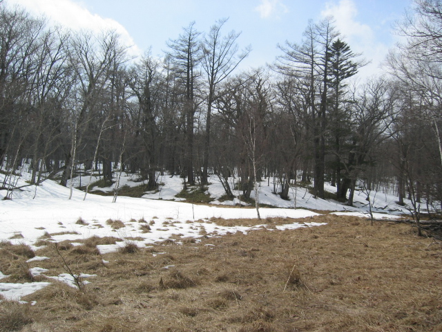 IMG_1312.JPG