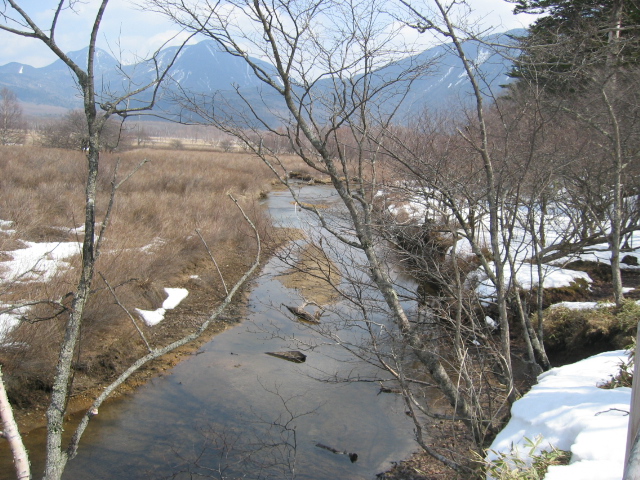 IMG_1315.JPG