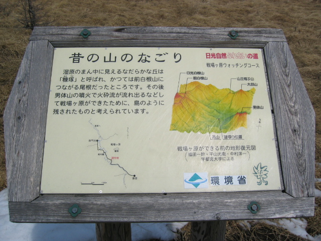 IMG_1343.JPG