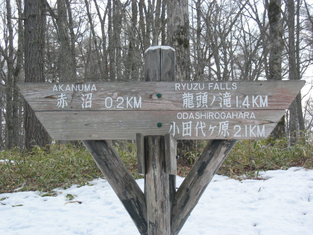 IMG_1353.JPG