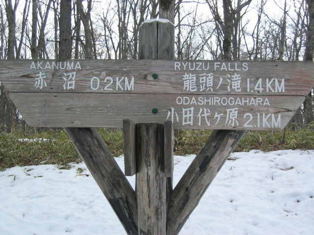 IMG_1354.JPG