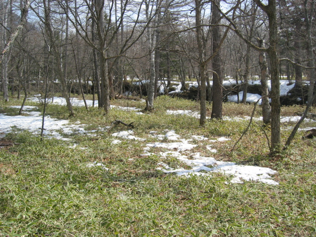 IMG_1358.JPG