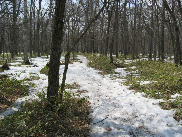 IMG_1359.JPG