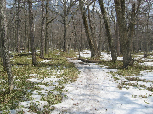 IMG_1361.JPG