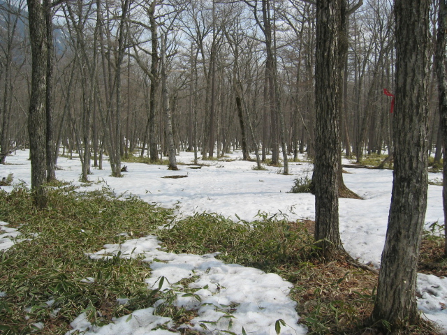 IMG_1363.JPG
