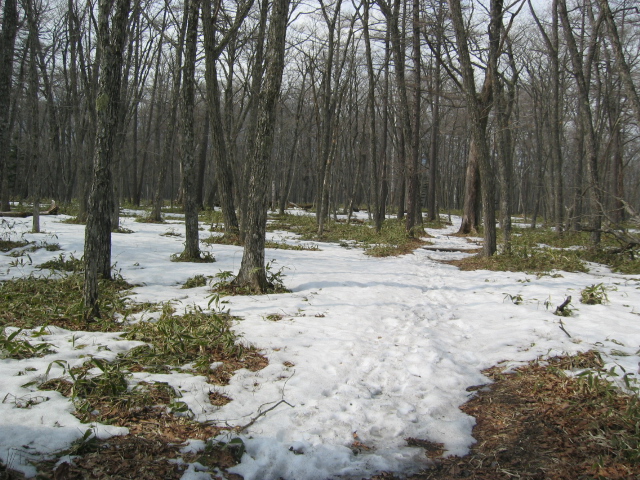 IMG_1364.JPG