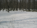 IMG_1365_thumb.png