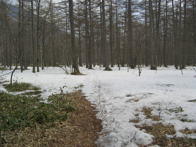 IMG_1367.JPG