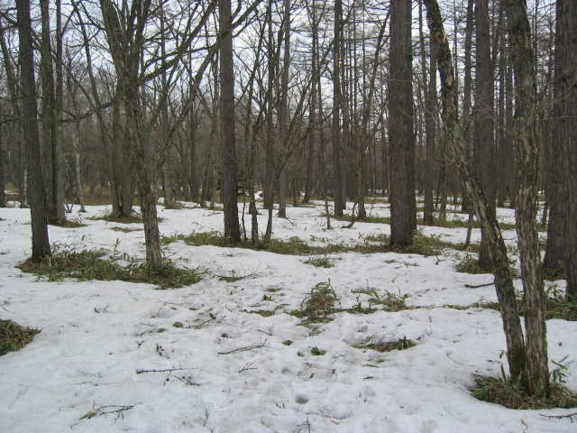 IMG_1370.JPG