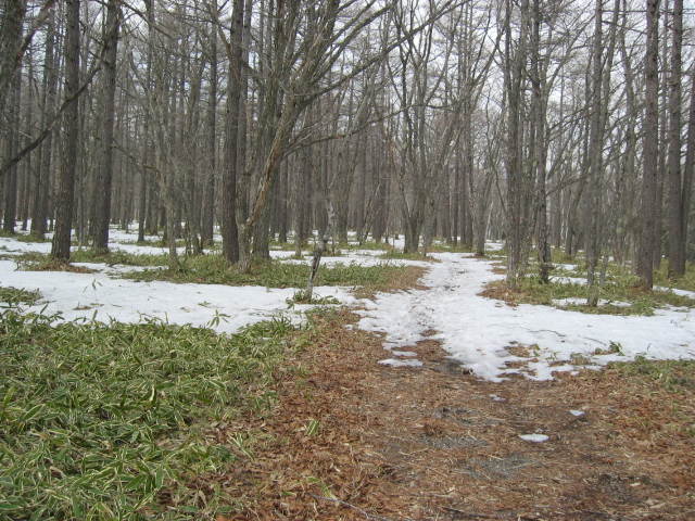 IMG_1371.JPG