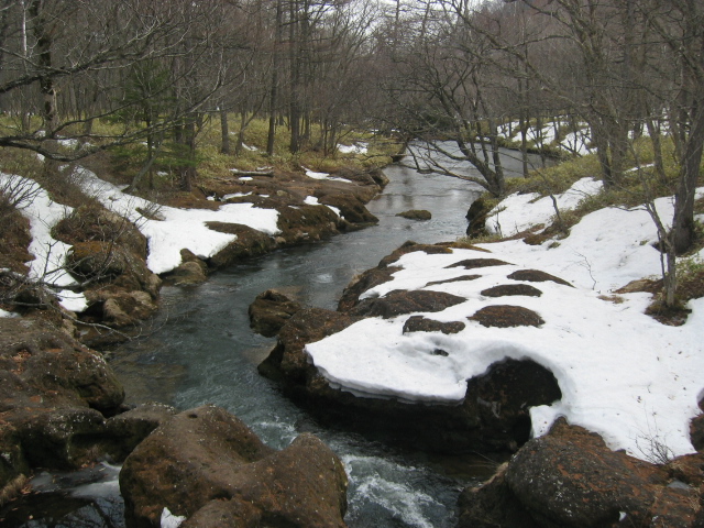 IMG_1374.JPG