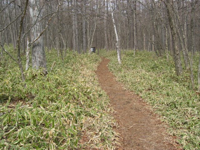 IMG_1386.JPG