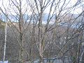 IMG_1182_thumb.png