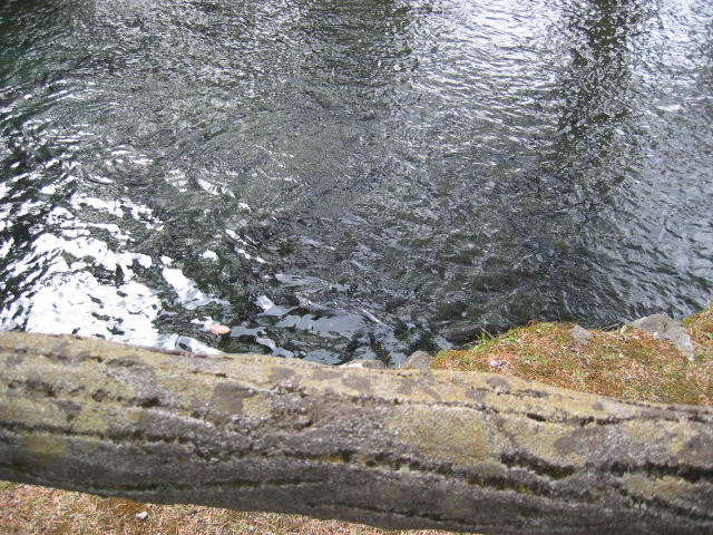 IMG_1399.JPG
