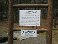 IMG_1406_thumb.png