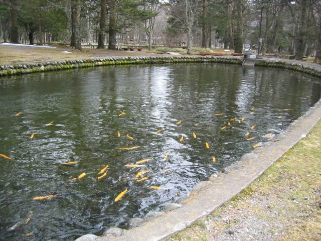 IMG_1407.JPG