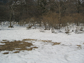 IMG_1199_thumb.png