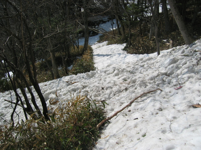 IMG_1217.JPG