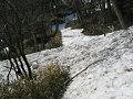 IMG_1217_thumb.png