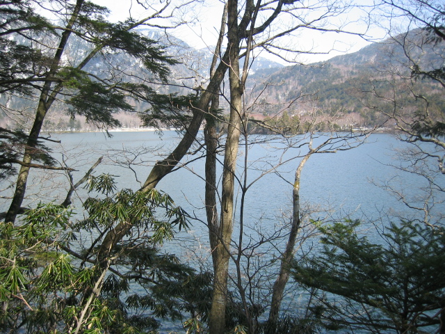IMG_1225.JPG