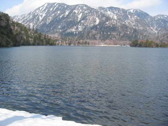 IMG_1229.JPG