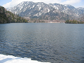 IMG_1229_thumb.png