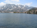 IMG_1238_thumb.png