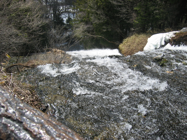 IMG_1240.JPG