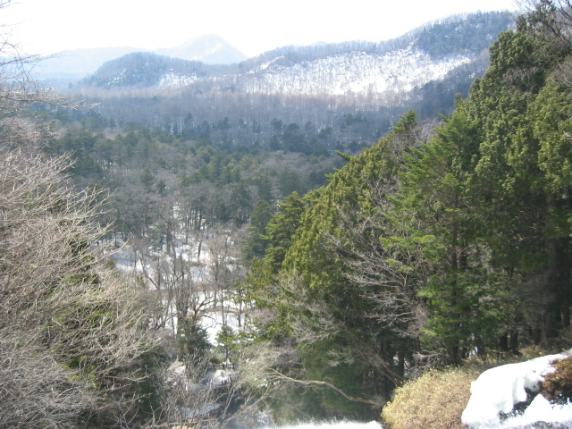 IMG_1241.JPG