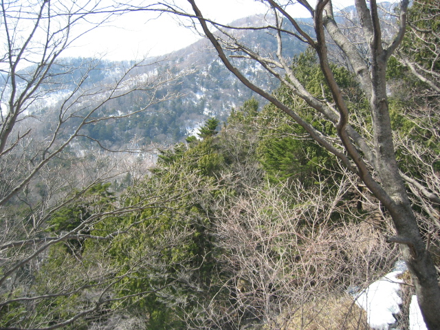 IMG_1246.JPG