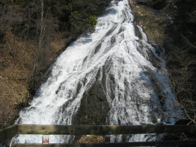 IMG_1256.JPG