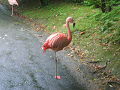 IMG_1824_thumb.png