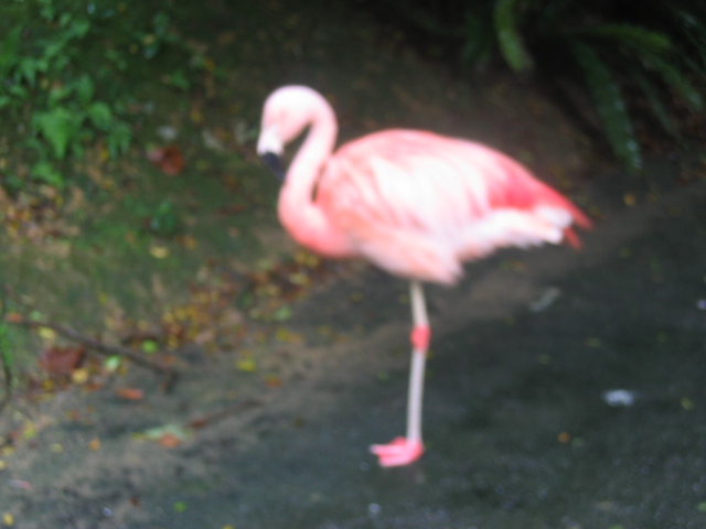 IMG_1827.JPG