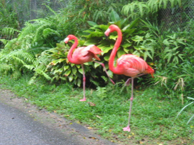 IMG_1829.JPG