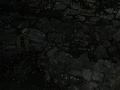 IMG_1776_thumb.png