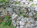 IMG_1777_thumb.png
