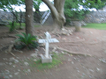 IMG_1780_thumb.png