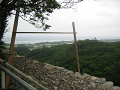 IMG_1784_thumb.png
