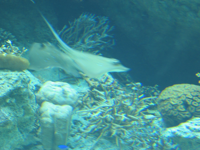 IMG_1719.JPG