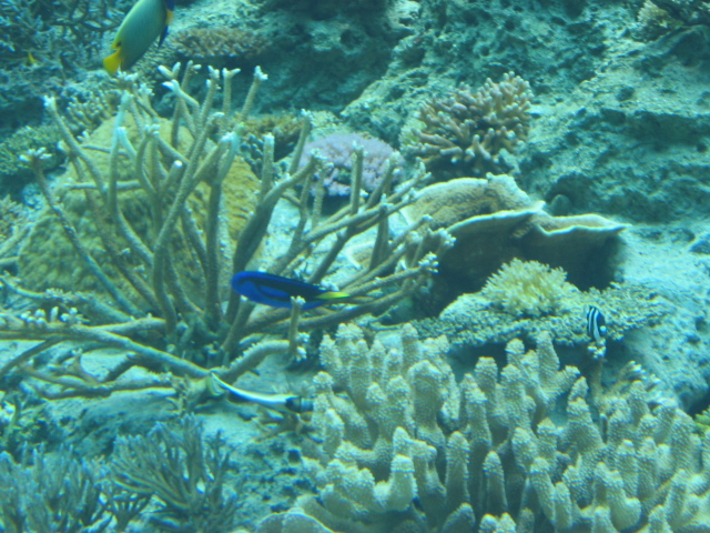 IMG_1720.JPG