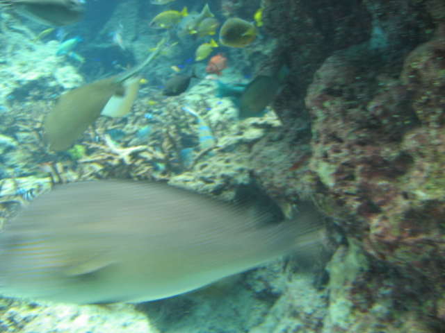 IMG_1722.JPG