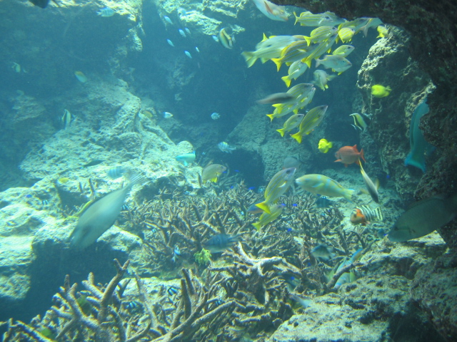 IMG_1723.JPG