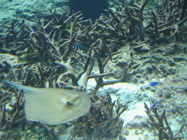 IMG_1725.JPG